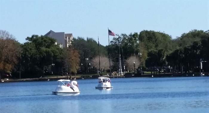 It was an idyllic setting. The lake is noted for the swan boats and for the real swans too.