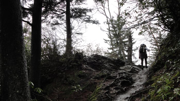 Alum Cave Trail: The next leg of the hike just past Inspiration Point. Inspiration Point is 4,700 feet in elevation.