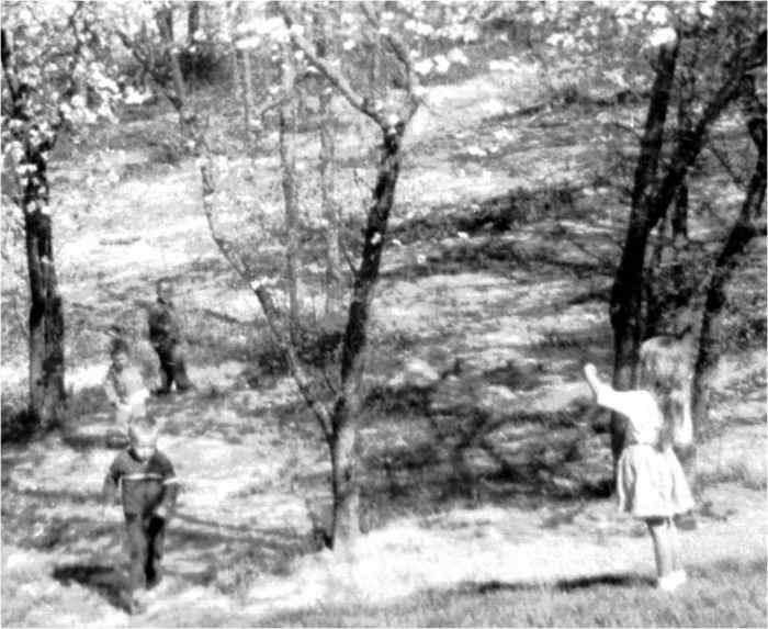 That's me when I was a small child and my brother is the first one walking up the hill, followed by our little friends. The Dogwoods were so young, as were we.