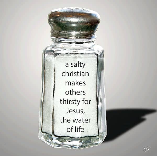 Are You a Salty Christian? You Should Be LetterPile Writing and