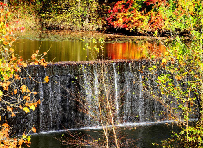 Taking a walk in the forest can make us recall special moments, especially if there are beautiful scenes.