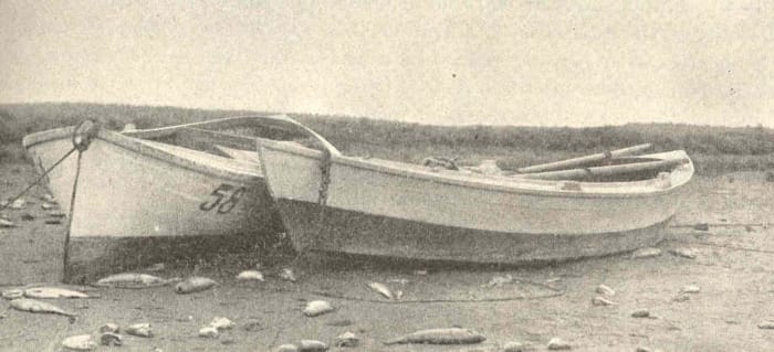 These flat bottom's are perfectly-contended to sit on the shore and "wave" bye, bye.
