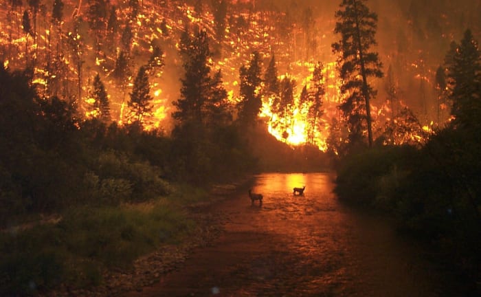 The tongue also is a fire... It corrupts the whole body, sets the whole course of one’s life on fire, and is itself set on fire by hell (James 3:5-6).