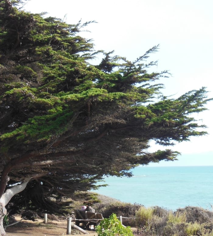 Couple in a beach hideaway. Do you see them on the bench under the tree?