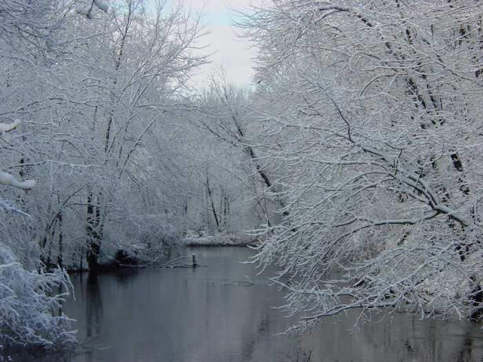 Michigan's beautiful fall foliage! (just kidding) Winter on the Paw Paw River