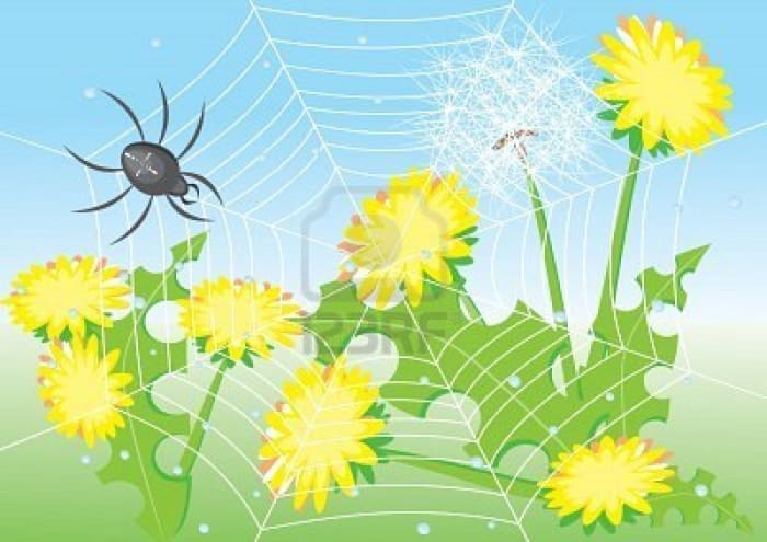 Since then, Gamba had became the first spider, continuously weaving just like she used to when she was an arrogant young woman.
