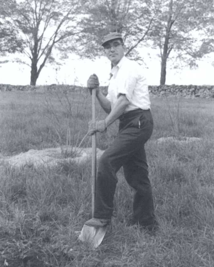 Bill Bramlage Digging Planting Holes for Blueberries, Leverett, MA. May 1971.