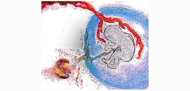 Fetus fed by red tentacles attached with umbilical cord to orange and fuchsia planet. Spacer image for science fiction ebook.