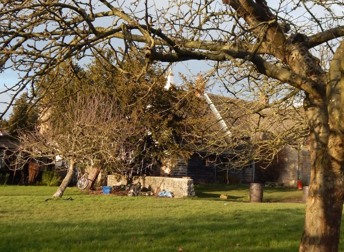The orchard spirits seem pleased with their offerings. A week on from the ceremony, and the toast is all gone. Not that birds had anything to do with it, of course!