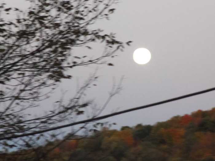 A moon light night not long ago give an extra lust to objects below. Light enough to film autumn leaves at midnight.