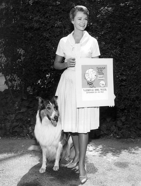 (This is NOT Mrs. Simons) Lassie, left, and June Lockart, right. Lockhart, WOW!