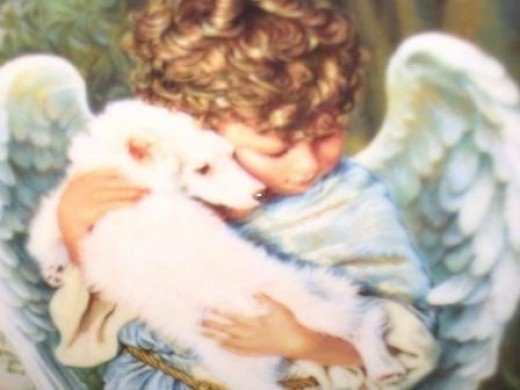 "God made all the creatures and gave them our love and our fear, to give sign, we and they are His children, one family here." ~Robert Browning