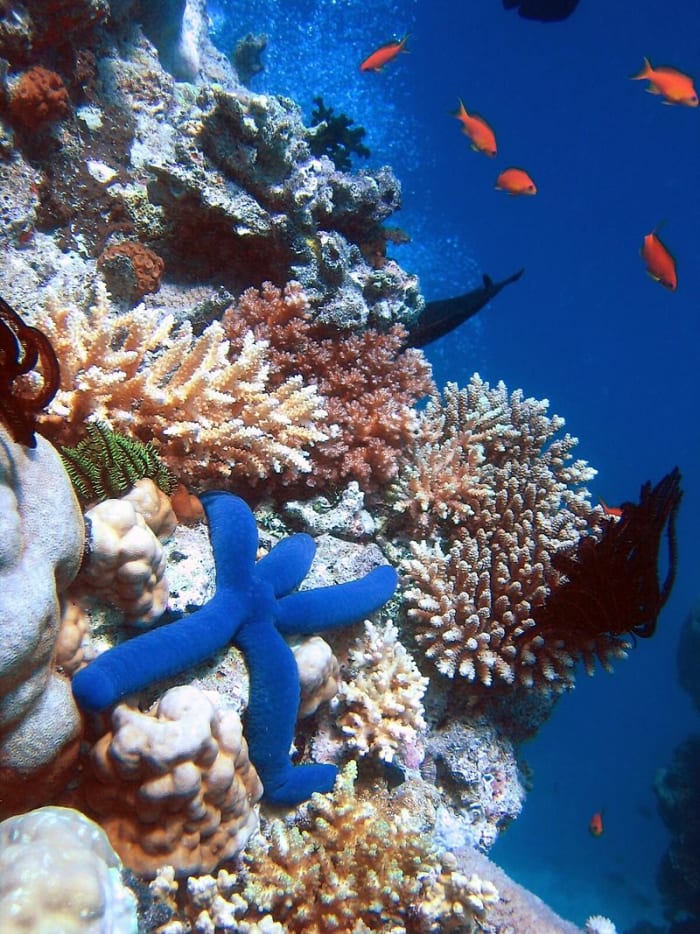 ". . . Mother Earth and all of her inhabitants . . ." includes the ocean and all of ocean life, including life we don't eat.