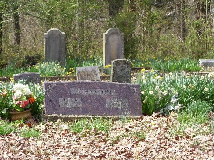 My grandparents' graves could benefit from a Derwydd planting. The cemetery is full of daffodils and narcissus, but no Derwydds.