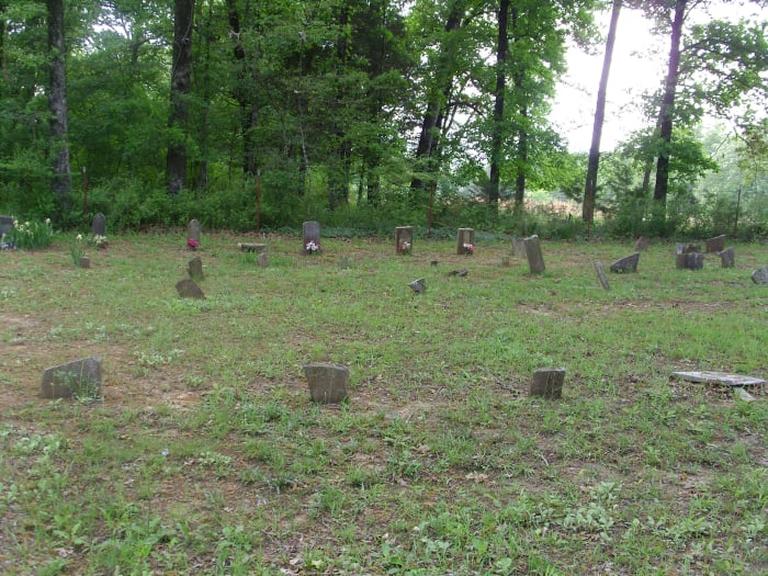 Mt. Zion Cemetery could use a few Johnston Buttercups. Some of the old markers are unnamed, but it is still an active cemetery and Johnstons are still being buried here.