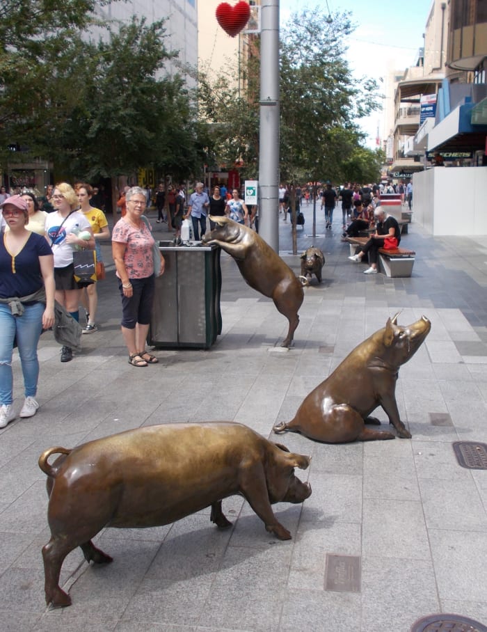 Marguerite Derricourt's 'Rundle Mall Pigs' in Adelaide shopping centre; Oliver, Horatio, Truffles & Augusta