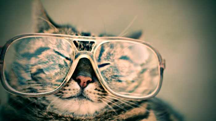 El Cato Catabar, our confidential informant for the past 9 years, has recently been involved in Black Cat Ops as far south as Utah.