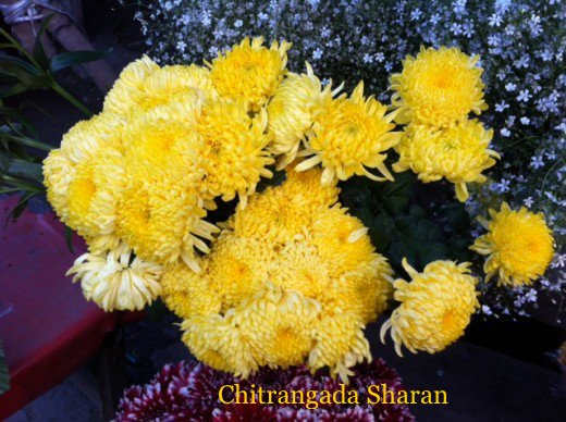 Yellow colour signifies joy, Sunshine and positive energy—A bunch of yellow flowers