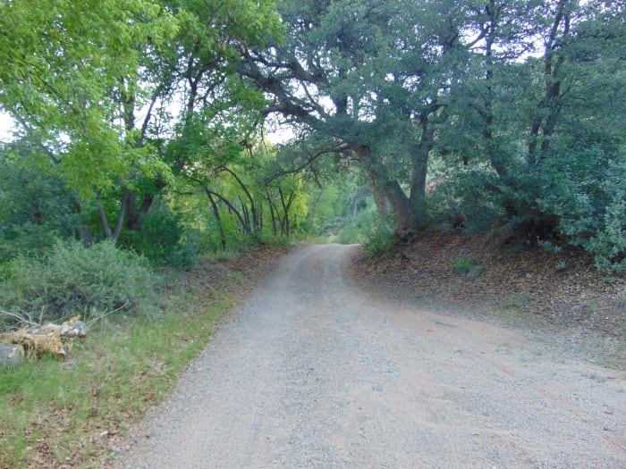 This is called "Old Indian Road". That is a translation of what the Piutes named it. Those Native Americans sure were not at all PC.