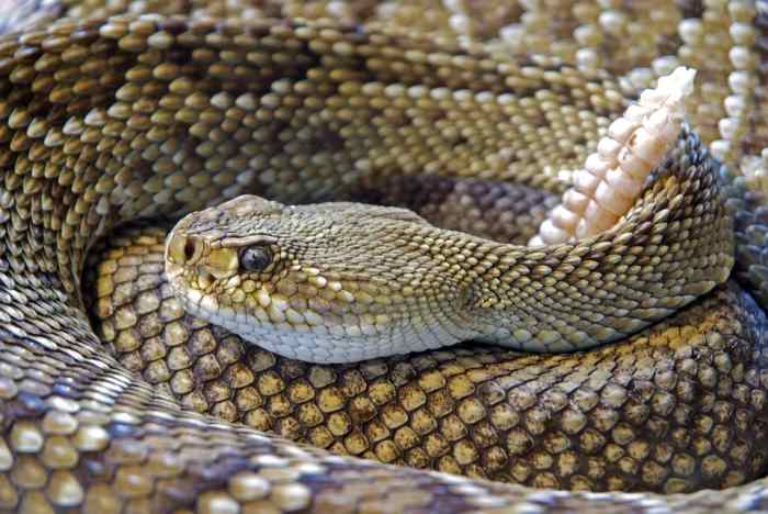 NOTE: this guy (or girl) and those in his/her family is DANGEROUS. Play it safe and you will come out alive.