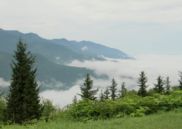 Maybe someday we will have a little cabin on a mountain, looking down at the clouds in glee.