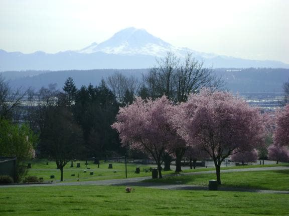 ... soft pink blossoms graced the spring cherry trees. Mount Rainier stood as a breathtaking monument filling the western skies of the Puget Sound region.