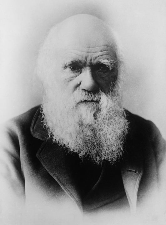 One of the scientists that has helped man peel back the layers of superstition embedded in our psyche.