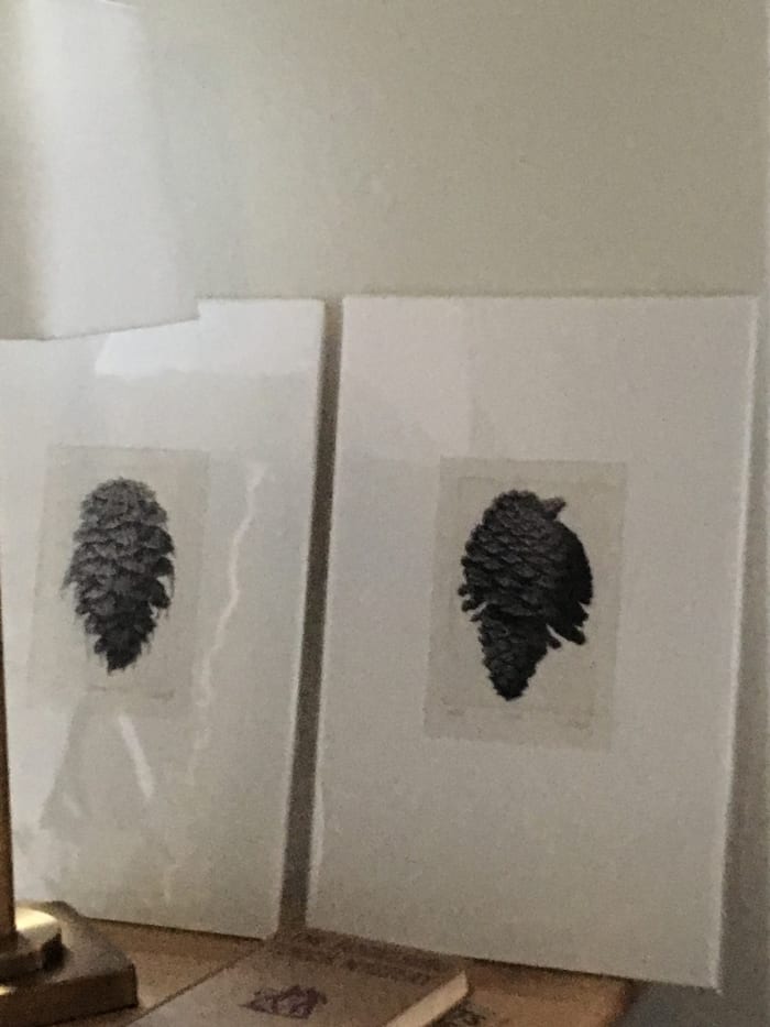 A pair of Lithographs we picked up at a local Art Fair and keep, unframed, in the Loft.