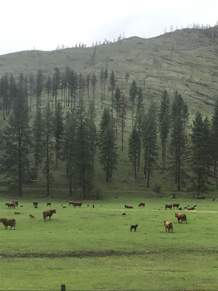 Plateau essay 07 picture