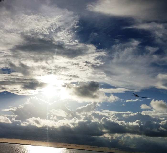 Clear your mind of all thoughts and meditate upon the unity of all life and upon Mother Earths body.
