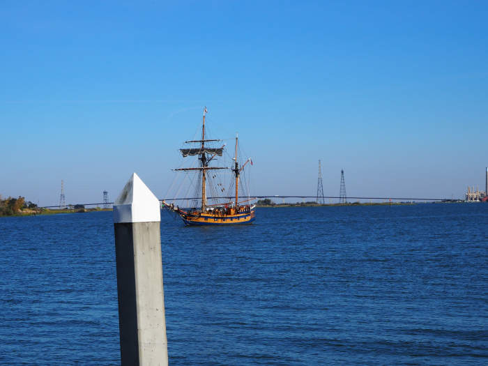 Here she comes! At this point, she is under engine power, as it is very tricky to try and maneuver a sailing ship in to tight quarters at a dock while under sail.