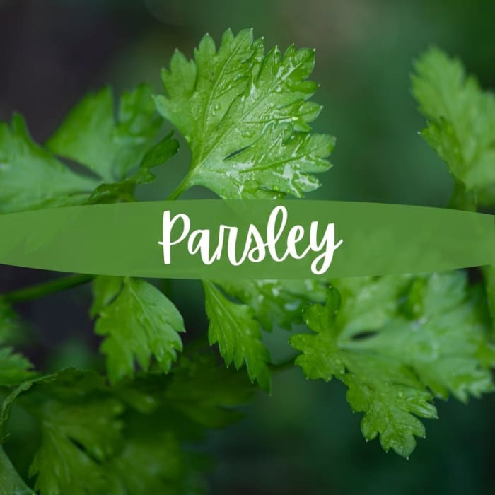 Top 6 IronRich Vegetables CalorieBee