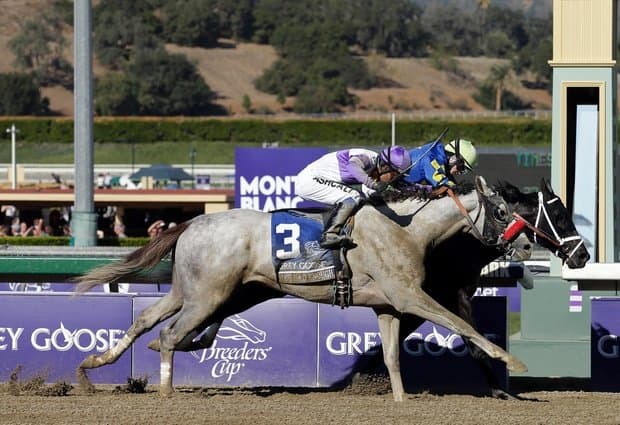 Photo Finish of the 2012 BC Juvenile race, won by Shanghai Bobby and ridden by Rosie Napravnik