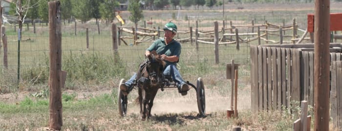 Obstacles in an informal combined driving type event. PJ drives dressage, cones and obstacles in his HyperBike.