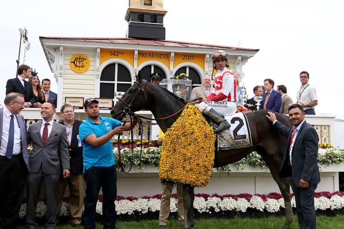 The winner of the 2017 Preakness Stakes bears a coat of Black-eyed Susans, the Maryland state flower.