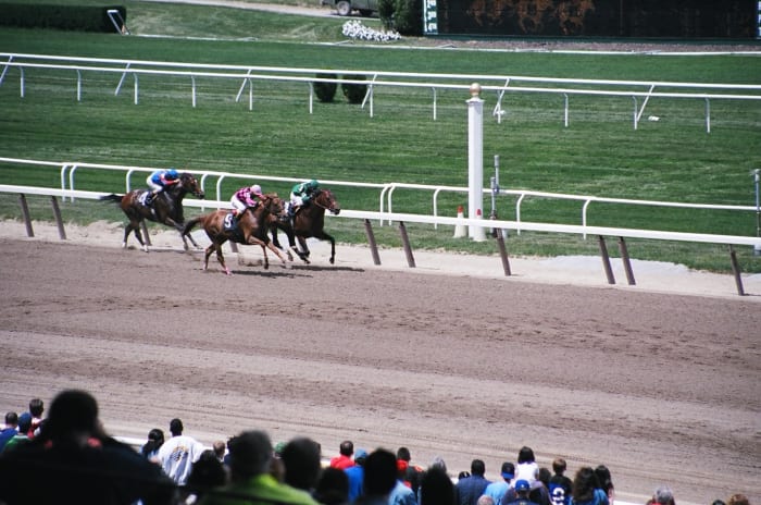 The Belmont Stakes is known as "The Run for the Carnations," because the winning horse and jockey receive a blanket of white carnations.