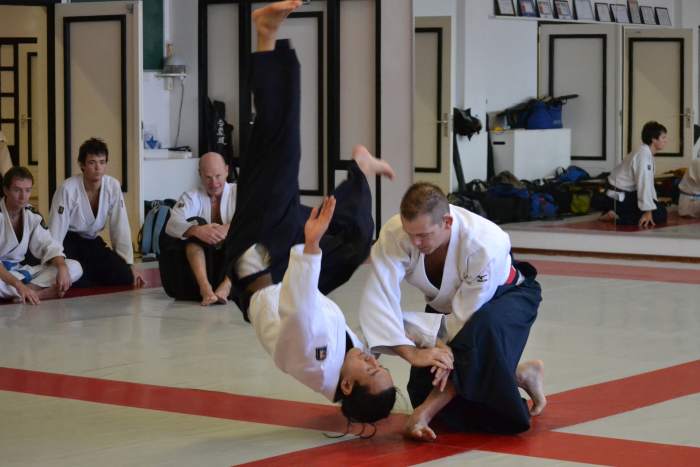 Aikido, like Tai Chi, uses flowing motion to redirect an attacker's movement to use it against him.