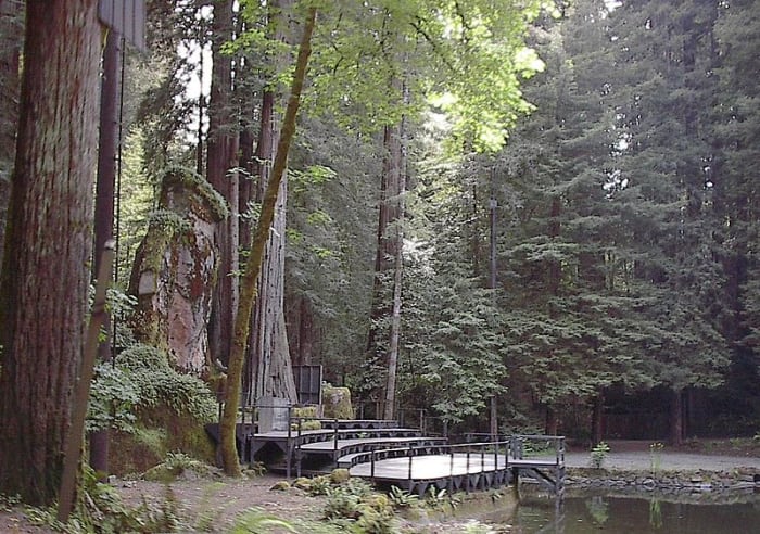 Il santuario di Bohemian Grove nel profondo delle sequoie