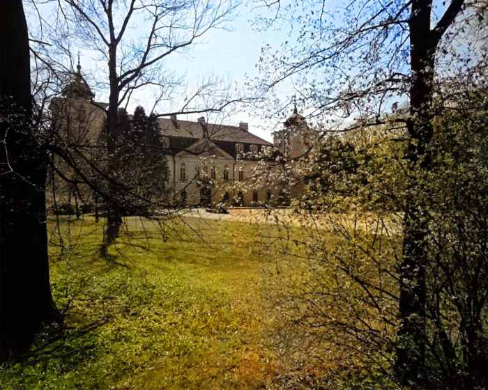 With the exception of a little reddishness added to the lawn (which can easily be fixed manually) a boost in saturation results in something that looks much more like a color photo.