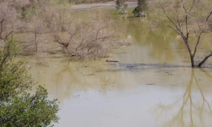 The porous soil behind Devil's Gate Dam allowed for rainwater to sink down into the aquifer. It also became a haven for herons (like the one in the center of the photo) and other waterfowl.