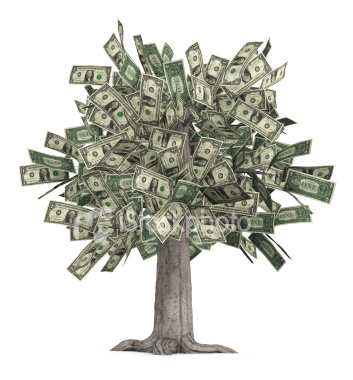 An RV Loan can be very expensive, especially over time, so if you don't have a Money Tree .......