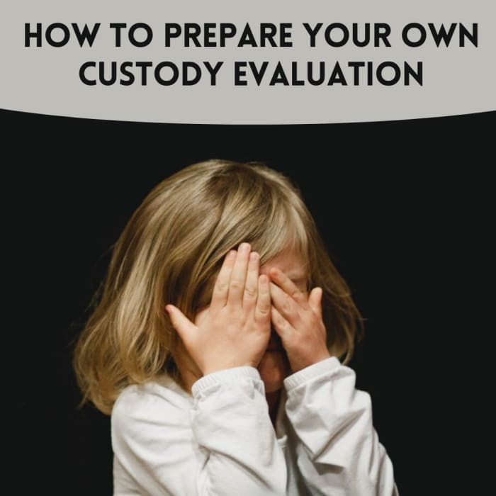 If you are unable to afford a professional custody evaluation, you may be able to prepare one yourself.