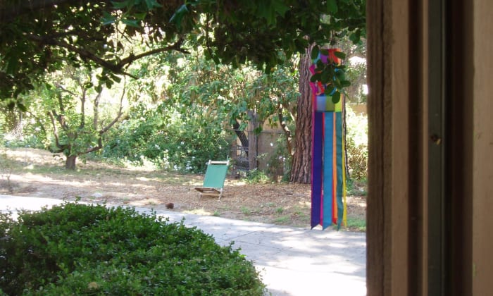 The bear lay down not 15 feet from my front door, in the spot where I've placed the camp chair.
