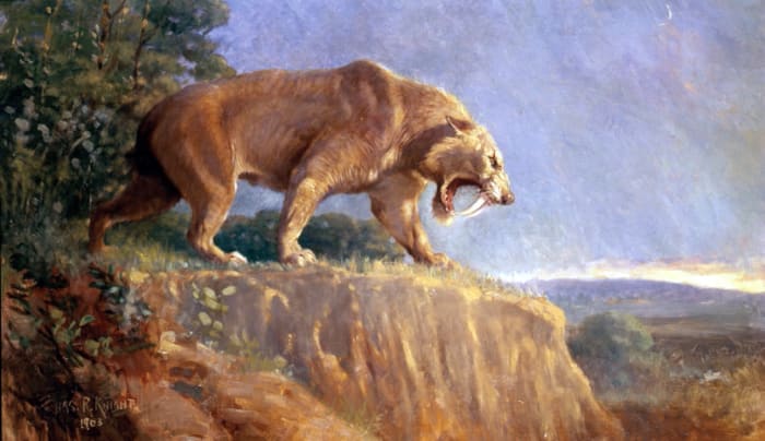 The 15 Most Beautiful Extinct Animals - Owlcation