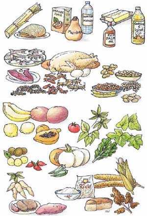 Food phobias can relate to texture, temperature, digestion, or infection, as well as particular items.