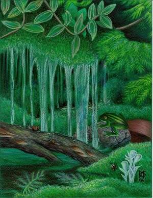 Ferns, Moss and Water by Robert A. Sloan is a textureless colored pencil painting done on bright green Canson Mi-Tientes paper with Prismacolor Premier colored pencils.