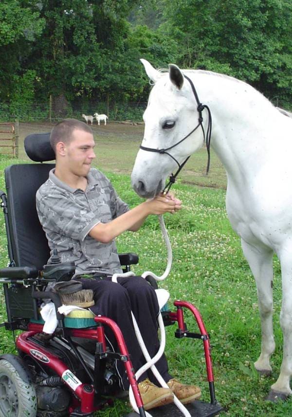 Often labeled crazy, flighty or hard to handle the Arabian horse is anything but deserving of those adjectives.