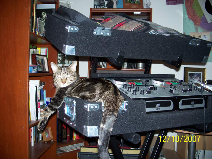 There's nothing sexier than a cool cat named Leopold that can bring home the bacon and spin disks at the same time.... (photo courtesy of DJ Funktual)