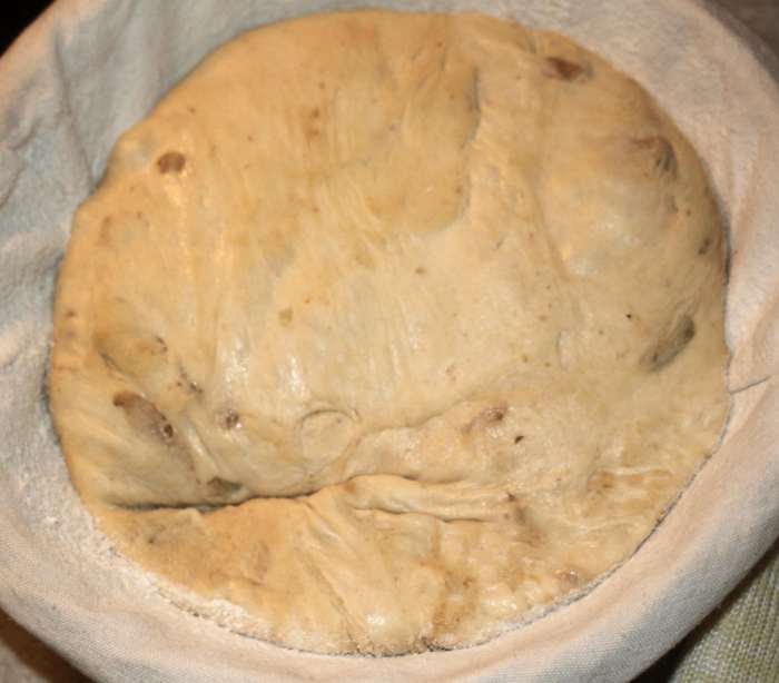 After 4 hours' proofing, the dough is ready for the oven...ignore the dent caused by my partner's elbow...