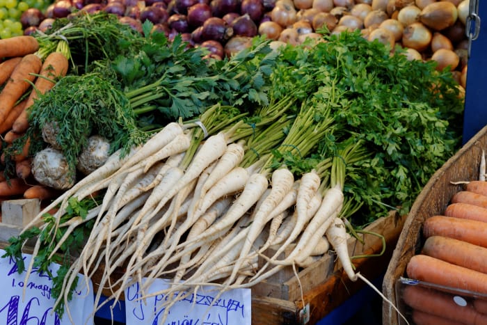 The Root or Hamburg Root Parsley